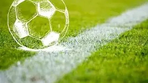 日本队现役五大联赛球员超15人，创历史新高，是2025年两倍